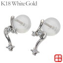 【只今 ポイント10倍中!】ダイヤモンド ピアス ダイア ダイヤ ダイアモンド 18金 k18 18k ホワイトゴールド スタッド ペア メンズ 送料無料 プレ...