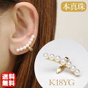 【只今10%OFF中!】パール イヤカフ イヤーカフ イヤーカフス k18 18k 18金 イエローゴールド 真珠 片耳用 7粒 本真珠 アコヤ あこや 人気 ...