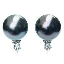 【10%OFF 7/12 9:59まで】イヤリングパールイヤリング真珠イヤリングブラックパールイヤリング黒真珠イヤリング タヒチ黒蝶真珠10mmk18 ホワイト...