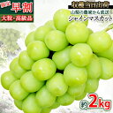 【早割!開催中】シャインマスカット 約2kg おいしいブドウ 甘いぶどう ご贈答用 朝採り ぶどう ブドウ 葡萄 グレープ 山梨県勝沼産 農園直送 産地直送 高...