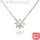 【只今 ポイント10倍中!】ネックレスパールネックレス パール ネックレス 真珠ネックレス 真珠 ネックレス k18 18k 18金 ホワイトゴールド メンズ ...