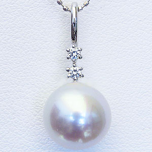 10%OFF 12/3 20ۿ ѡ ĳ 10mm ڥȥȥå ۥ磻ȥ  ̵ ͵  奢...