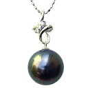 【10%OFF 6/11 1:59まで】真珠 ブラックパール ペンダントトップ タヒチ黒蝶真珠 パール 黒真珠 ダイヤモンド 人気 おすすめ カジュアル トレンド プレゼント ギフト 父の日