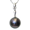 【10%OFF 7/12 9:59まで】真珠 パール ペンダントトップ タヒチ黒蝶真珠 10mm ホワイトゴールド 人気 おすすめ カジュアル トレンド プレゼ...