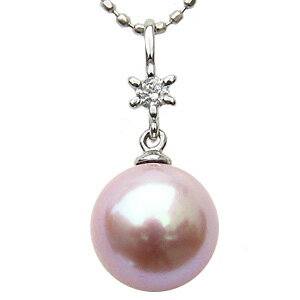 ڥȥȥå ͥå쥹 øѡ   ۥ磻ȥ ڥ ͵  奢 ȥ ץ쥼 ե 奨꡼...