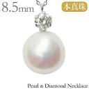 【ポイント10倍】ペンダントネックレス 真珠 パール ネックレス あこや本真珠 8.5mm ダイヤモンド 1石 0.20ct プラチナ 全長40cm おすすめ カジュアル トレンド 母の日 2024 プレゼント ギフト 自分買い