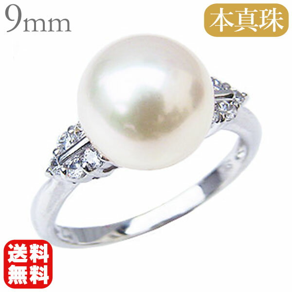 ��10%OFF 1/14 23:59�ޤǡۥѡ��� ��� �ץ���� pt900 ������� �ܿ��� ������ ������ ��ǥ����� ��������ּ�� ��������� ��...