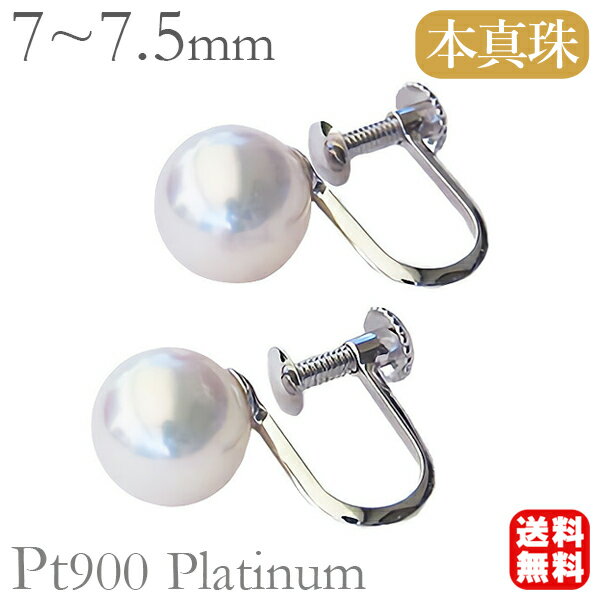 ѡ   ץ pt900 ܿ   77.5mm ץ å  եޥ  ̵ ¨ȯ ¨Ǽ  ͵  奢  ץ쥼 ե ʬ㤤