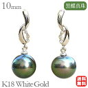 【決算セール ポイント10倍】パール ピアス 18金 18k 18k 黒真珠 ブラック タヒチ黒蝶真珠 10mm ホワイトゴールド ペア ダイヤモンド 冠婚葬祭...