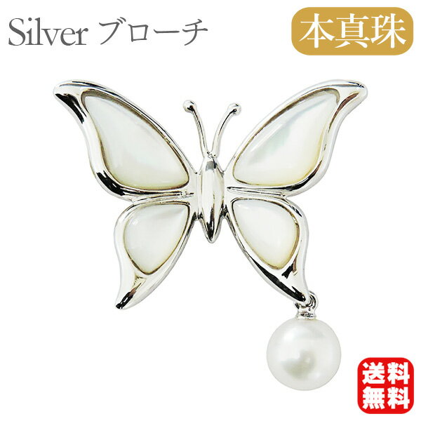 ��10%OFF 1/14 23:59�ޤǡۥѡ��� �֥����� �ե����ޥ� �ѡ��� �֥����� ����֥����� �Х��ե饤 ĳ �������ܿ��� �ۥ磻�ȥ����� ��ĳ�� ��...