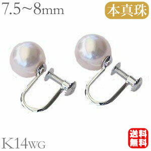   ѡ륤 ǥ   ܿ ѡ 7.5-8mm k14 14k 14 ۥ磻ȥ ̵  ʻȤ եޥ 奢 ¨ȯ  ¨Ǽ ͵  ץ쥼 ե ʬ㤤