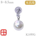 【決算セール ポイント10倍】パール ピアス 18金 真珠ピアス 18k ホワイトゴールド k18 本真珠 あこや アコヤ 片耳用 ダイヤモンド 送料無料 普段...