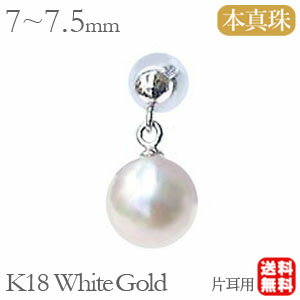 �ѡ���ԥ��� 18�� �ѡ��� �ԥ��� 18k 18k �����俿�� �ۥ磻�ȥ������ �ڥ� �Ҽ��� ����̵�� ���ʻȤ� �͵� �������� �����奢�� �ץ쥼��� ��...