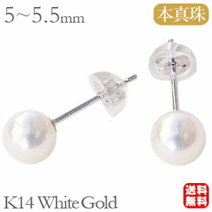 �ѡ���ԥ��� ���ʻȤ� �������ܿ��� �ѡ��� �ԥ��� 5mm-5.5mm k14 �ۥ磻�ȥ������ �ڥ� ����̵�� �͵� �������� �����奢�� �ץ쥼��� ����...