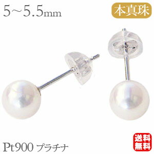 �ѡ���ԥ��� ���ʻȤ� ���� �ѡ��� �ԥ��� �������ܿ��� �����俿�� 5mm-5.5mm pt900 �ץ���� ����̵�� �͵� �������� �����奢�� �ץ쥼��...