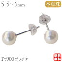 p[sAX ig ^ p[ sAX {^ AR^ 5.5mm-6mm Pt900 v`i   lC  JWA Ǝ w v[g Mtg 