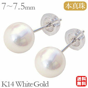 ��10%OFF 1/14 23:59�ޤǡۥѡ���ԥ��� �ѡ��� �ԥ��� 14k k14 14�� �ۥ磻�ȥ������ �ڥ� ���� ������ ������ �ܿ��� 7mm-7...