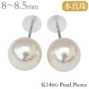 パール ピアス 真珠 スタッド シンプル k14 14k 14金 ホワイトゴールド ペア 本真珠 あこや アコヤ 8mm-8.5mm 冠婚葬祭 フォーマル カジ...