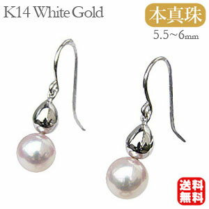 ��10%OFF 1/14 23:59�ޤǡۥѡ���ԥ��� 14�� �ѡ��� �ԥ��� 14k k14 ���ʻȤ� ���� ���� �եå��� �������ܿ��� �ۥ磻�ȥ������ ...