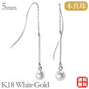 【10%OFF 9/11 1:59まで】パールピアス 18金 パール ピアス 18k 18k 普段使い ロング チェーン 真珠 ロング チェーン k18 ホワイトゴールド ペア あこや本真珠 5mm アメリカン 品質保証書付 ケース付 誕生日 プレゼント ギフト ジュエリー 敬老の日