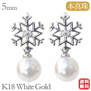 【ポイント10倍 11/13 9:59まで】パールピアス 18金 パール ピアス 18k 18k 普段使い 雪の結晶 真珠 あこや本真珠 ダイヤモンド 5mm k18 ホワイトゴールド ペア 雪 結晶 snow スノーフレーク 送料無料 カジュアル クリスマス プレゼント ギフト 自分買いのサムネイル