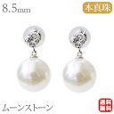 【決算セール ポイント10倍】パール ピアス 18金 18k 18k 普段使い 真珠 アコヤ本真珠 ムーンストーン ムーンストーン k18 ホワイトゴールド ペ...