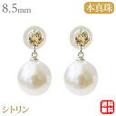【決算セール ポイント10倍】パール ピアス 18金 18k 18k 普段使い アコヤ本真珠 シトリン 8.5mm ホワイト系 あこや本真珠 11月の誕生石 ぶ...