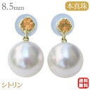 【決算セール ポイント10倍】パール ピアス 18金 18k 18k 普段使い あこや本真珠 8.5mm スタッド シトリン 11月誕生石 k18 ゴールド ペ...