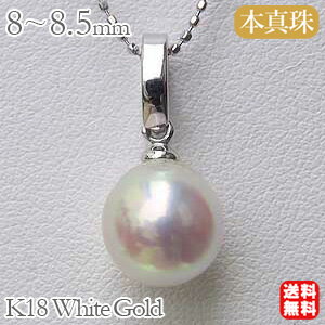 【10%OFF 12/3 20時より】パール ペンダントトップ クリッカー k18 18k 18金 ホワイトゴールド あこや アコヤ 本真珠 8-8.5mm 送...