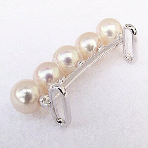 ��10%OFF���ӻߤ� ��α�� ���Ӥɤ� ���ӥɥ� ���� �ѡ��� �ܿ��� ������ ������ ����С� ����ץ� ������ʪ ��ʪ ����̵�� �͵� �������� �����奢�� �ȥ��� �ץ쥼��� ���ե� ���奨�꡼ ´�� ���� �ۥ磻�ȥǡ�