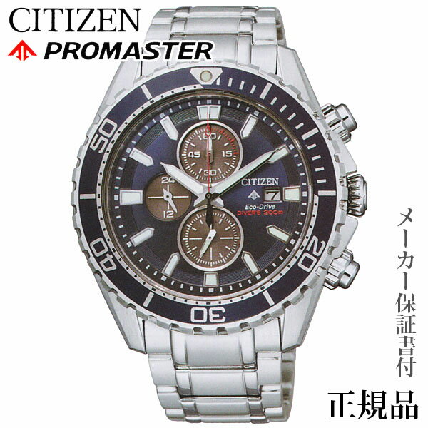 CITIZEN  ץޥROMASTER MARINE ޥ󥷥꡼  顼 ӻ  1ǯݾڽ CA0...