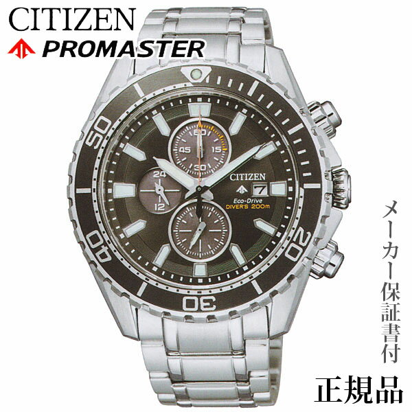 CITIZEN  ץޥROMASTER MARINE ޥ󥷥꡼  顼 ӻ  1ǯݾڽ CA0...