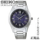SEIKO ドルチェ&エクセリーヌ DOLCE & EXCELINE 男性用 ソーラー アナログ 腕時計 正規品 1年保証書付 SADZ197 人気 おすすめ プレゼント ギフト 自分買い 贈り物 記念品