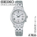 SEIKO h`FGNZ[k DOLCHE & CXCELINE p \[[ AiO rv Ki 1Nۏ؏tWCW161 lC  JWA gh j j ̓ 2024 v[g Mtg 