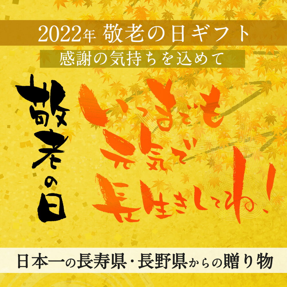 敬老の日 ギフト プレゼント おつまみ おやき 詰合せ お惣菜 お取り寄せ 【大人気おやき9種詰め合わせセット】【野沢菜・きのこ・なす・野菜・にら・ポテト・あんこ・かぼちゃ・切干大根】【信州 長野 長野県 お土産】 お取り寄せグルメ