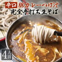 辛口 カレーつけ汁&そばセット 蕎麦4人前+豚カレーつけ汁×2+つゆ1セット 信州そば 蕎麦 そば せいろ 雪村そば 美包