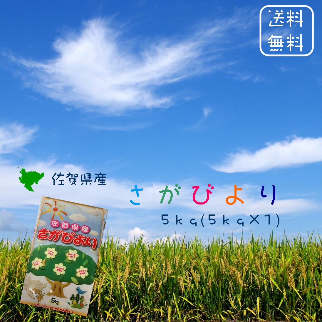 令和4年 送料無料 佐賀県産 さがびより 5kg (5kg×1袋) ＜免疫力アップ／玄米・分づき精米対応可＞ 食味ランキング「特A」受賞11年連続受賞 九州の米 粒が大きめ