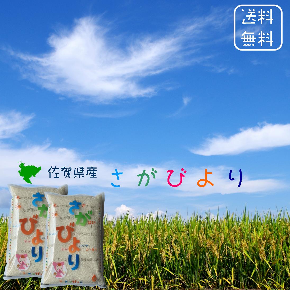 【送料無料】佐賀県産　さがびより　白米　10kg　(5kg×2袋)　平成30年産　新米　食味ランキング「特A」受賞　9年連続受賞九州の米 粒が大きめ コシ 甘み 香り 平成30年 精米したて 新鮮 鮮度 つきたて おにぎり お弁当 食味ランキング 特A 特A 特a 特a