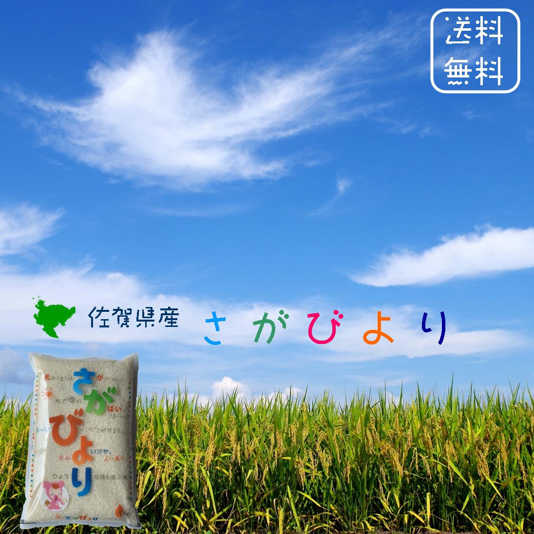 【送料無料】佐賀県産　さがびより　白米　5kg　1袋　平成30年産　新米　食味ランキング「特A」受賞　9年連続受賞九州の米 粒が大きめ コシ 甘み 香り 平成30年 精米したて 新鮮 鮮度 つきたて おにぎり お弁当 食味ランキング 特A 特A 特a 特a