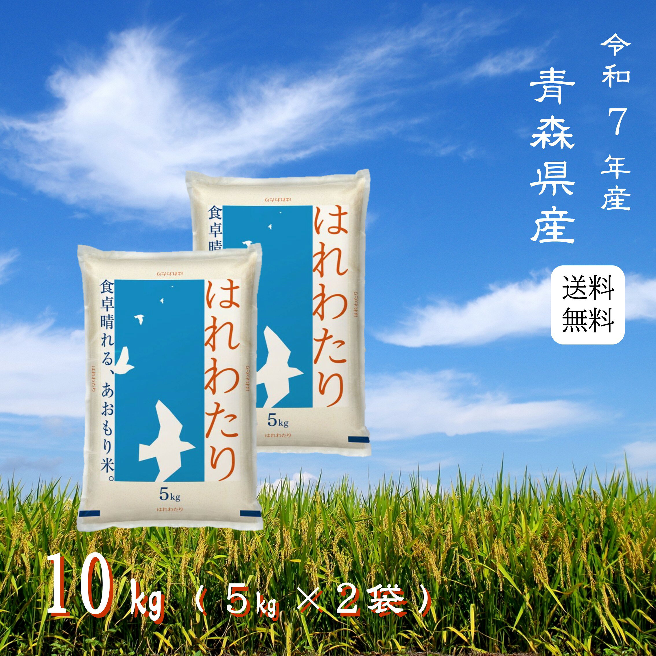 楽天市場】はれわたり 10kgの通販