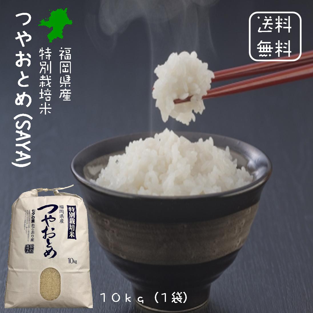 【送料無料】 福岡県産 特別栽培米 つやおとめ (SAYA) 白米 10kg（10kg×1袋）＜免疫力アップ／玄米・分づき精米対応可＞ 令和2年 2020年 契約農家 契約栽培米