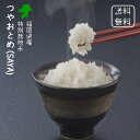 新米 令和5年 送料無料 福岡県産 特別栽培米 つやおとめ (SAYA) 2合(300g)×7袋 産 小分けパック  2.1kg 1週間分 美味しい米 お米 2.1キロ