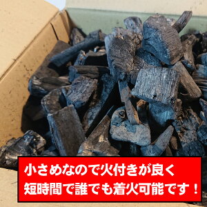 上土佐備長炭 3kg(BBQ炭)おためし! 小さめサイズ! ウバメガシ 土佐備長炭 燃料 職人 窯元 窯 遠赤外線 イベント 干物 七輪 焚火 BBQ BBQ炭 バーベキュー通販格安セール情報 楽天 通販