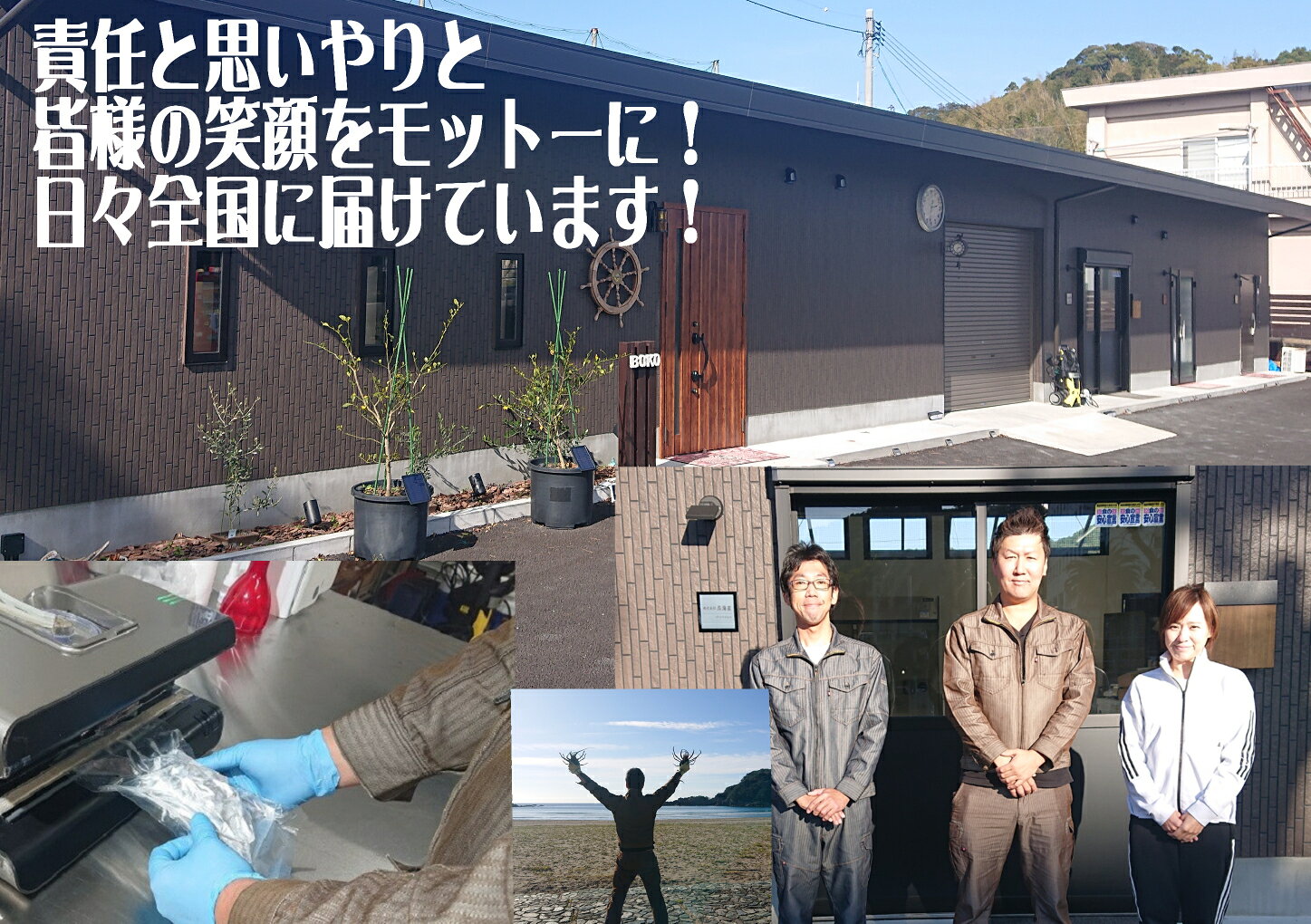 もぎたて出荷！訳アリ青ゆず玉1kg～分量タイプ！レビュー記入で1kgおまけ！高知県...