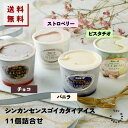 【マラソン期間ポイント5倍!】/#シンカンセンスゴイカタイアイス 4種 詰合せ 11個入り 送料無料 アイス アイスクリーム 夏 ギフト 内祝い プレゼント 土産 お取り寄せ 詰め合わせ スイーツ お菓子 新幹線 スジャータ アソート 母の日 父の日 誕生日 暑中