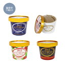 #シンカンセンスゴイカタイアイス (詰合せ)11個入り(バニラ5+チョコ2+紅ほっぺ2+モカ2)送料無料 アイス アイスクリーム 夏 ギフト 内祝い プレゼント...