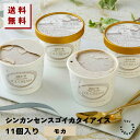 #シンカンセンスゴイカタイアイス (モカ) 11個入り 送料無料 アイス アイスクリーム 夏 ギフト 内祝い プレゼント 土産 お取り寄せ スイーツ お菓子 新...