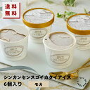#シンカンセンスゴイカタイアイス (モカ) 6個入り 送料無料 アイス アイスクリーム 夏 ギフト 内祝い プレゼント 土産 お取り寄せ スイーツ お菓子 新幹...