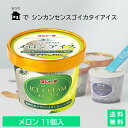 #シンカンセンスゴイカタイアイス (メロンアイス) 11個入り 送料無料 アイス アイスクリーム 夏 ギフト 内祝い プレゼント 土産 お取り寄せ スイーツ ス...
