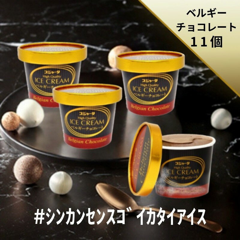 #シンカンセンスゴイカタイアイス （ベルギーチョコレート） 11個入り 送料無料 アイス アイスクリーム 夏 ギフト 内祝い プレゼント ..
